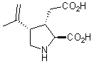 The chemical structure of kainic acid